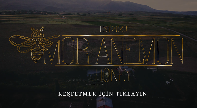Teaser İzleyin Tıkla